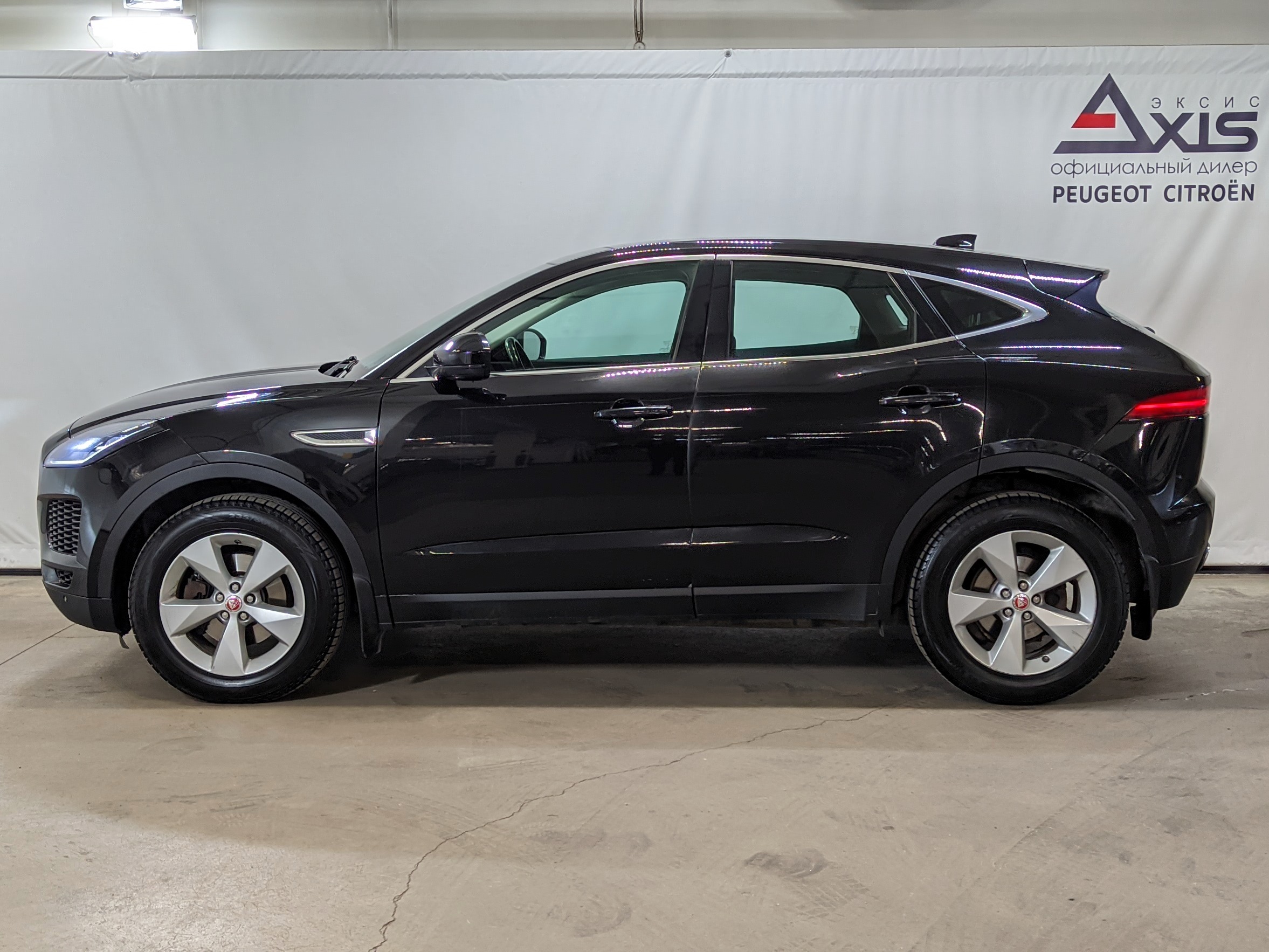 JAGUAR -