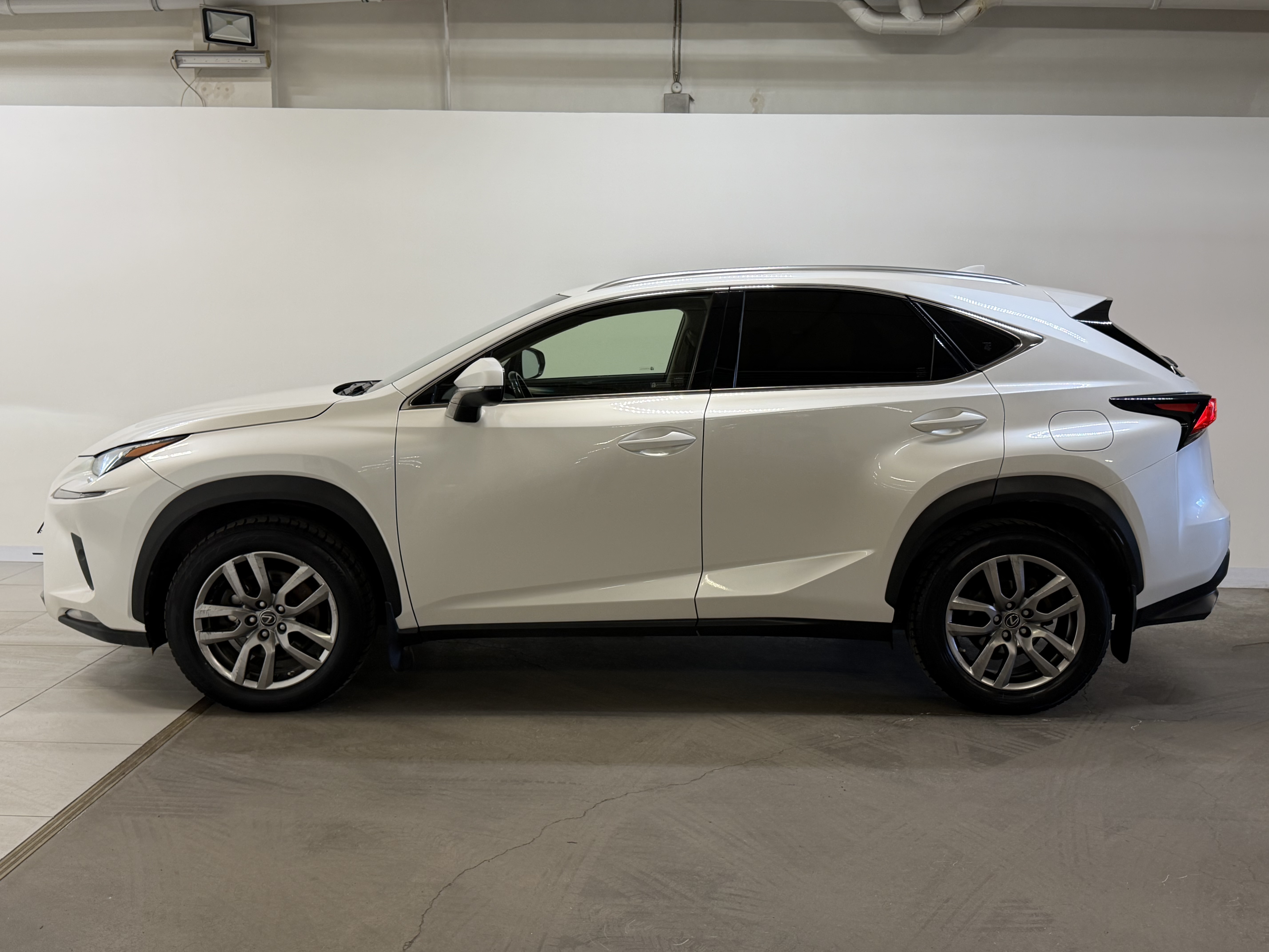 LEXUS -